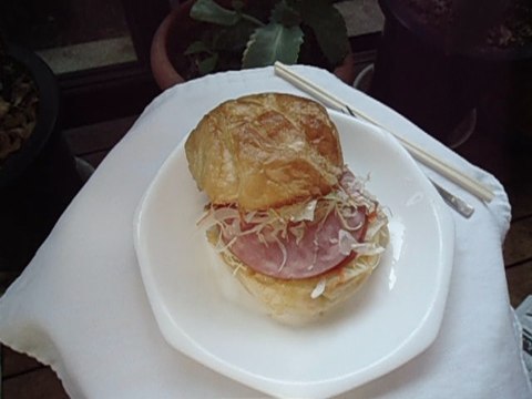 Hamburger Japanese food ハンバーガー