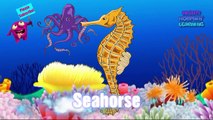 Kids Learn Ocean Animals   Explore Underwater Sea Creatures   Mighty Morphin' Learning