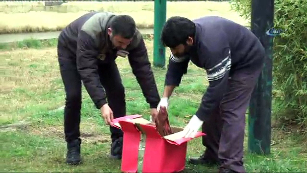 Hayvanat bahçesi sakinlerine yılbaşı hediyesi