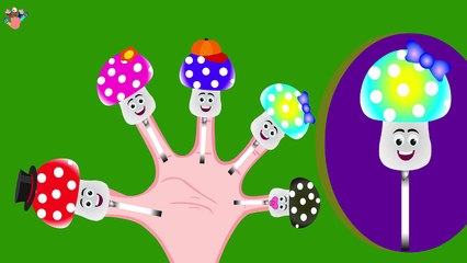 The Finger Family Mushroom Family Nursery Rhyme | Mushroom Finger Family Songs 2D RHYMES