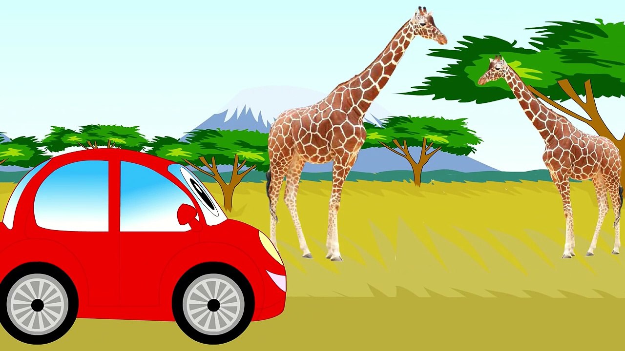 Car for children. Learning Wild Animals for Kids - Teaching Animals Video for Toddlers