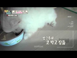 옥희독희 귀염돋는 일상, 더 귀여운 주인 세형♥