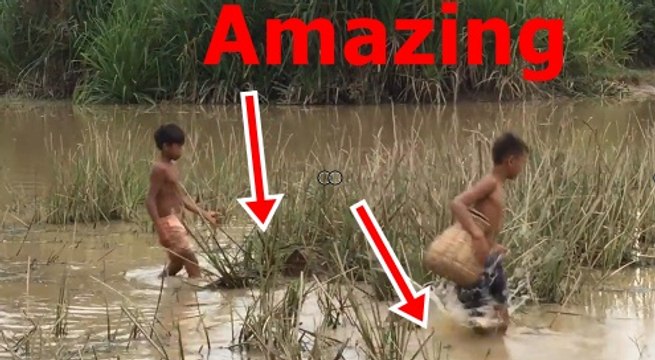03.Daily Fishing - Cambodian People Fishing Using Cast Net - Cambodian Traditional Fishing - YouTube