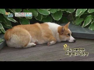 주병진의 셀프 미용! 뒤태 미남 '대', 갖고 싶은 엉덩이 등극♥