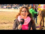 Muğla Yatağan 15. Geleneksel Deve Güreşi - Medya Festival - TRT Avaz
