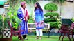 Watch Bewaqoofian Episode 61 - on Ary Digital in High Quality 31st December 2016