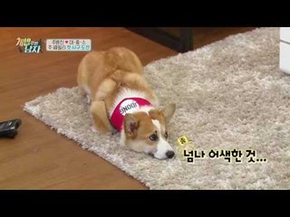 대중소, 세상에 둘도 없는 맞춤 스카프 장착! (매력 +100)