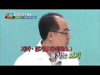 알아야 지킨다! 지카 바이러스를 옮기는 흰 줄 숲모기 실물 大 공개!