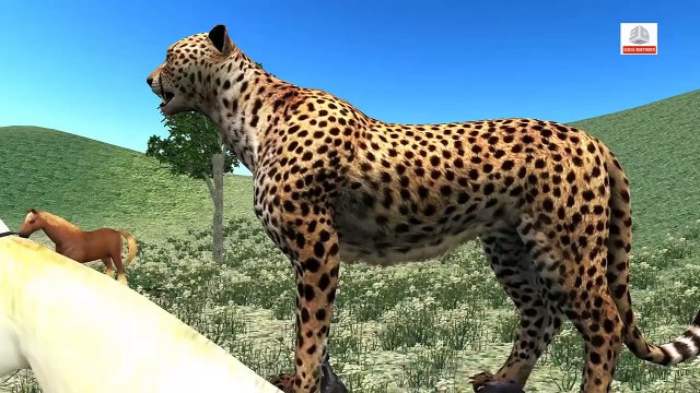 Animal Finger Family Nursery Rhymes | Lion Tiger Cheetah Finger Family Rhymes | Fun Learning VIdeos