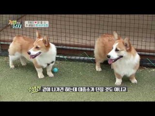 시구계의 레전드 대중소, 너희는 달릴 때가 제일 예뻐♥ (찡긋)