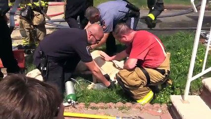 Chien sauve d'une maison en feu par les pompiers