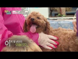 아이오아이 청하, 상처 많은 강아지에 결국 눈물 펑! “맘이 너무 아파”