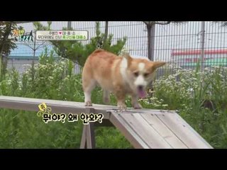 박지성 안 부러운 축구신동 대중소, 장하다 내 새끼들♥