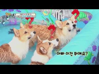 주병진 극본, 주병진 연출! 대중소도 외면한 핵노잼 납량 특집?!