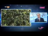 Adana Valisi Mustafa Büyük ve Gazeteci Ayşe Arman ile Röportajımız - Medya Festival - TRT Avaz