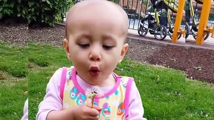 Children with Dolphins swimming enjoy the summer vacation