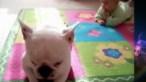 COMEDY VIDEOS _ FUNNU BABIES - Child and dog crawling on the floor-4zXE6SS7gxA