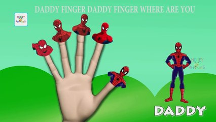 Crazy Cartoons Finger Family Collection | Spider Man Ice Cream Gummy Bear Lollipop Daddy Finger