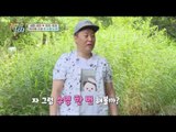 옥희독희 犬생 최초 수영 도전! 30초 만에 마스터 한 수영 천재견들♥