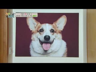 대중소와 닮은 강원래의 하늘나라로 간 똘똘이