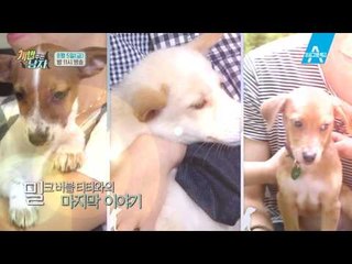 [예고] 주병진-대중소, 강원래 가족과 아주 특별한 만남