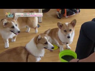 강원래 집 방문한 대중소, 강원래 주니어에게 거친 인사?!