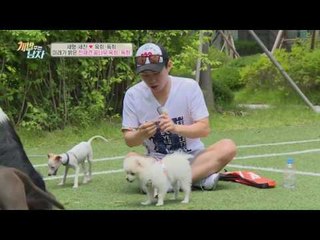 진짜 천재견을 가린다! 왔구만 vs 옥희독희 천재 테스트 결과는?!