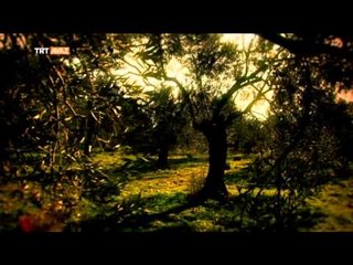 El Ğaniyy - Esma-ül Hüsna - TRT Avaz