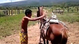 whatsapp funny video 71 @whatsapp #whatsapp