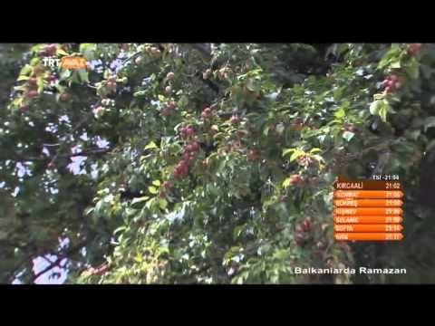 Arnavutluk / Tiran - Balkanlar'da Ramazan - TRT Avaz