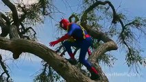 Superhero in Real Life Spiderman Making A Hammock On The Beach! In Real Life Irl Super Hero Fights