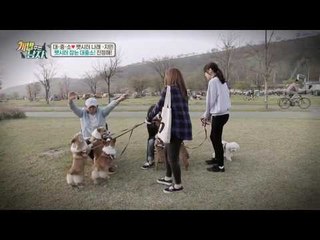 대중소 펫시터 1단계 물 먹이기부터 멘붕한 나래&지민...