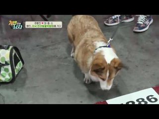 200평 펜트하우스의 주병진, 새로운 사업을 꿈꾸러 미국에 가다?!