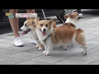 꼭 사람처럼 아쉬워 하며 인사하고 이별하는 대중소!