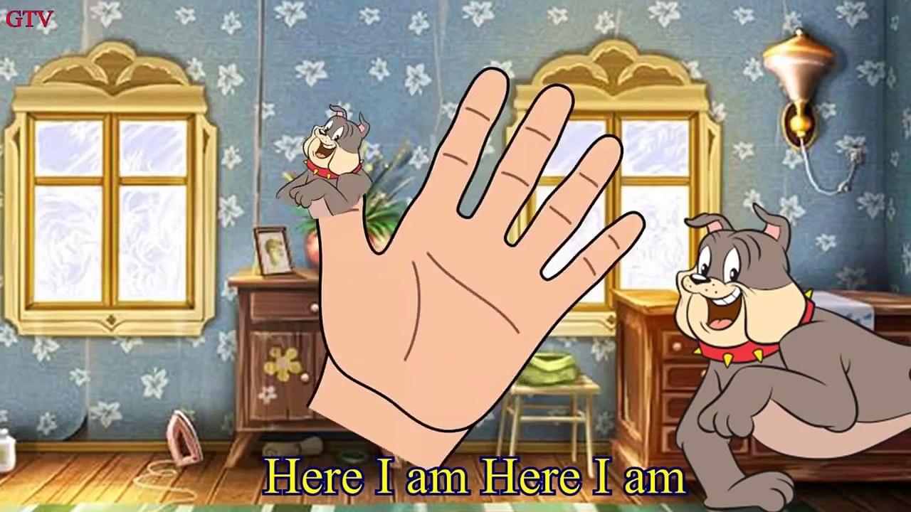 Talking Tom and Friends Pocoyo | Top 10 Finger Family Songs | Nursery Rhymes For Children