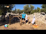 Koşarak Bayrak Getirme Oyunu - Türk Adası - TRT Avaz