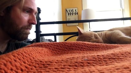 Dono vinga-se do seu gato que o acordava de madrugada