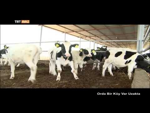 Kuzey Kıbrıs Türk Cumhuriyeti - Orda Bir Köy Var Uzakta - 13 Bölüm - TRT Avaz