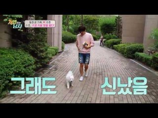 땅 처음 밟고 신나서 막 돌아다니는 핵귀요미犬 수호!