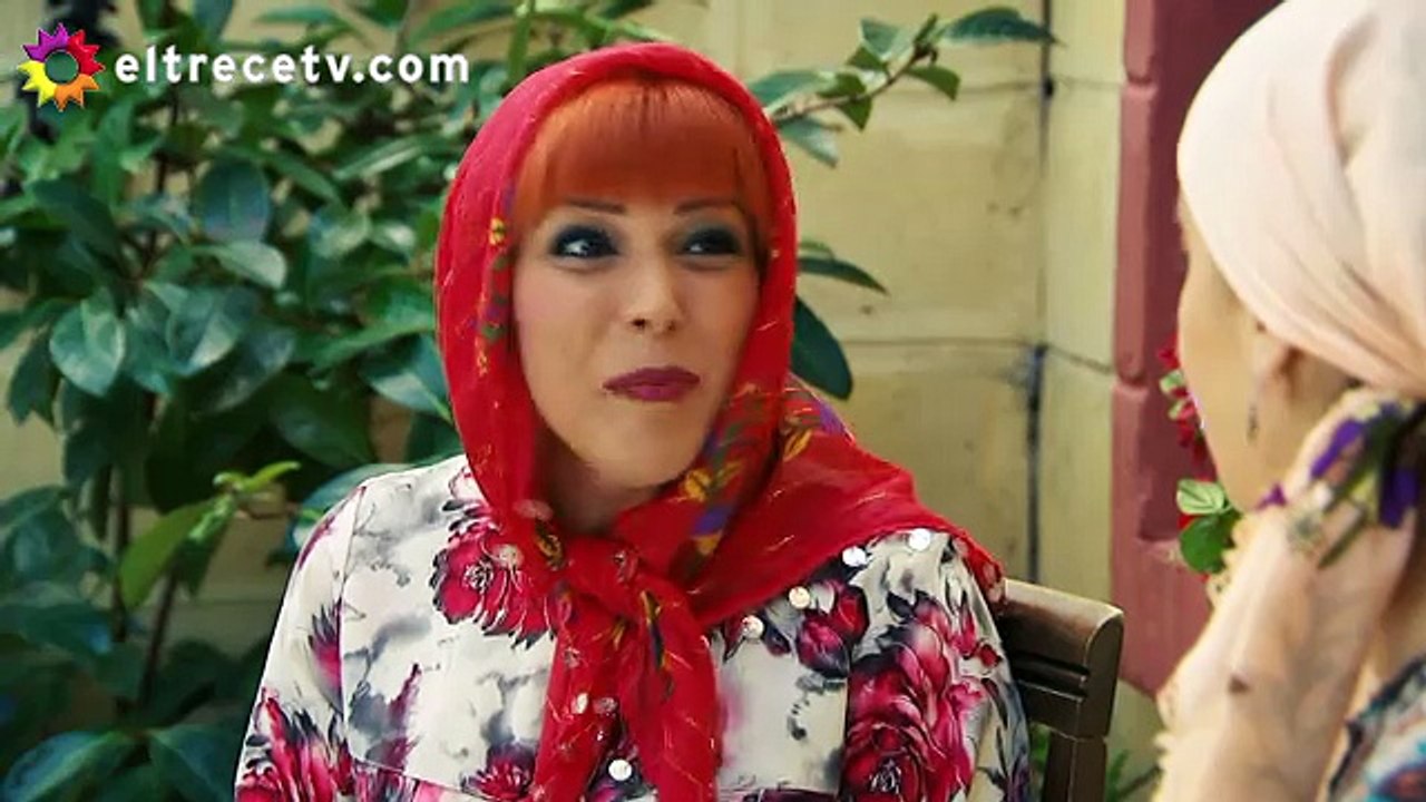 Capitulo 242 Esposa Joven