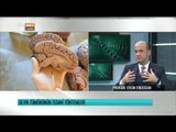 Beyin Rahatsızlıkları - Prof. Dr. Ersin Erdoğan Anlatıyor - Gündem Sağlık - TRT Avaz