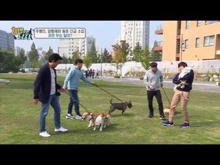 개처럼(?) 관심 받는 동호와 수호?!