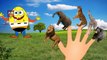 Finger Family Nursery Rhymes | Animal Finger Family Songs Collection | Learn Wild Animals | Kids