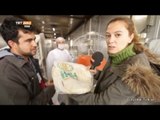 Hatay Reyhanlı'da Suriyeliler İçin Ekmeğin Üretildiği Mobil Fırın - Dünyadaki Türkiye - TRT Avaz