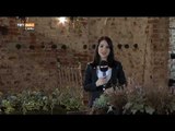 Barış Misyonuyla Beşiktaş Uluslararası Bahçe ve Çiçek Festivali - Devrialem - TRT Avaz
