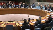 UN council endorses Syria ceasefire brokered by Russia and Turkey