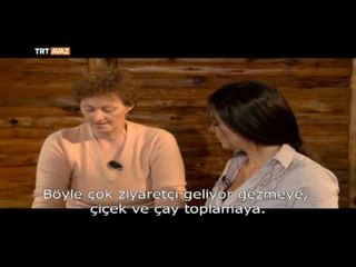 Bosna Poğaçası Nasıl Yapılır? - Bosna'nın Geleneksel Lezzetleri - TRT Avaz