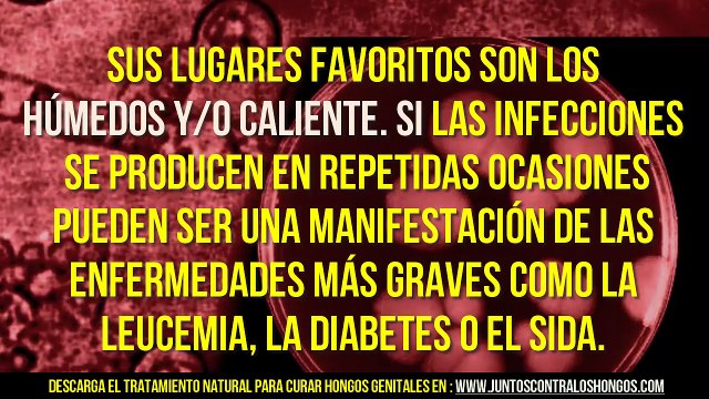 Aprende a CURAR Hongos GENITALES Femeninos Masculinos - SINTOMAS Infección por Hongos Candida
