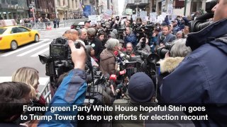 US vote - Stein goes to Trump Tower to step up recount drive-792zJzbarVE