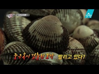 [예고] 중금속이 검출된 꼬막이 팔리고 있다?_채널A_먹거리X파일 197회